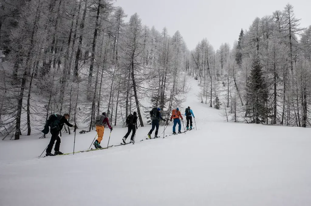 Ski touring & avalanche courses
